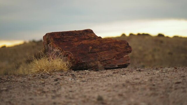 Arid land with wood log at Petrified Forest National Park in Arizona, rack focus