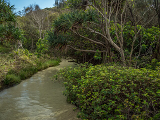 Eli Creek Fraser Island