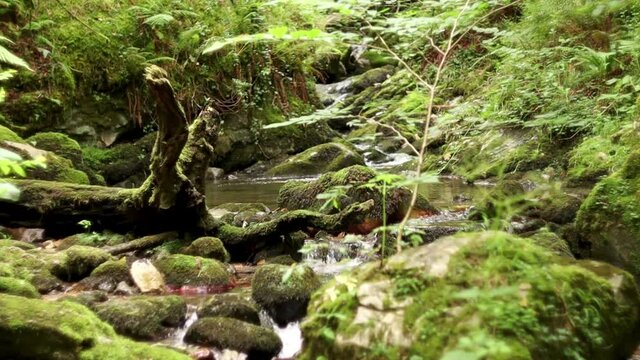 Overgrown Small Natural Waterfall with a Stream River Going Through Moss Overgrown Stones in a Wild Forest. Hiking Trail Landscape, Meditative, Relaxing, Close up