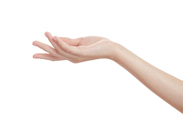 Woman's beautiful hand holds out something on a white background