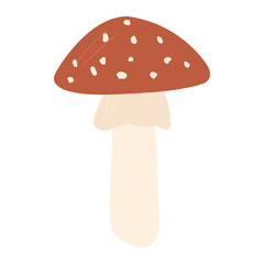 Amanita mushroom vector hand drawn cartoon illustration
