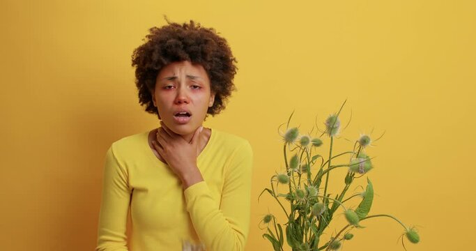 Curly haired woman suffers from anaphylactic shock severe allergic reaction suffocation has shortness of breathing wears oxygen mask poses near wildflower wears casual jumper isolated on yellow wall