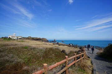 a beautiful seaside landscape with a walkway