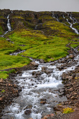Naklejka na ściany i meble Streams cascading down the green mountains on a rainy day on the way to Mjóifjörður fjord, East Fjords, Iceland
