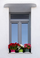 Fototapeta na wymiar Pots with flowers on windowsill at Milos island, Plaka Cyclades Greece. Vertical