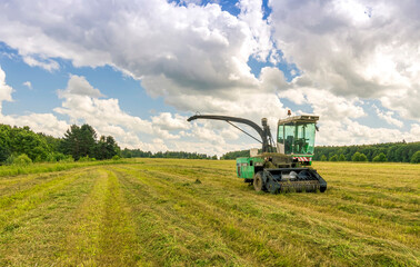 combine harvester gathering harvest on a agricultural field with cloudy sky and green forest on thr background , farm rural landscape
