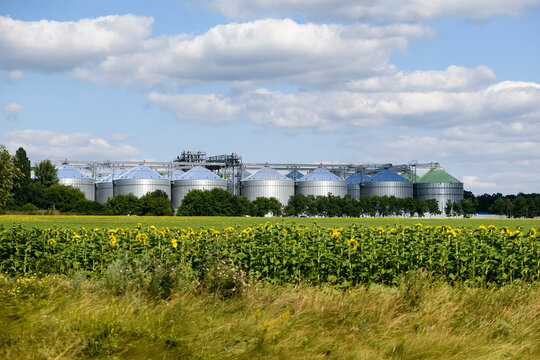 Modern grain elevator surrounded by a sunflower field, Ukraine