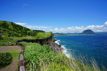 a fascinating seaside walkway and seascape