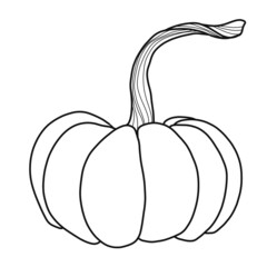 illustration of a pumpkin in the style of line art with partial coloring