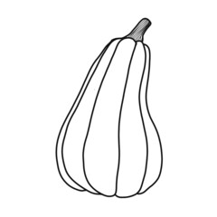 illustration of a pumpkin in the style of line art with partial coloring