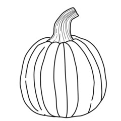 illustration of a pumpkin in the style of line art with partial coloring