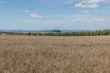 Trockenes Feld im Sommer
