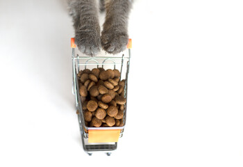 cat paws on a mini grocery basket with cat food