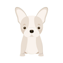 A French bulldog puppy on a white background. Cartoon Dog design,