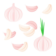 A set of whole and garlic cloves on a white background. A spicy vegetable.