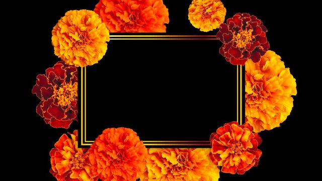 Blooming orange marigolds. Greeting card for day of the dead. Space for the text
