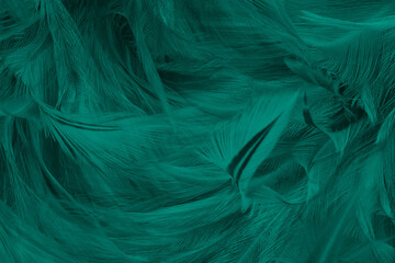 Beautiful dark green vintage color trends feather texture background