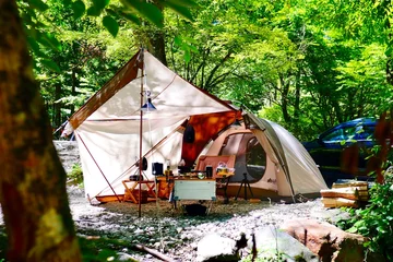 Foto op Plexiglas kamperen in het bos © 悠太 野田