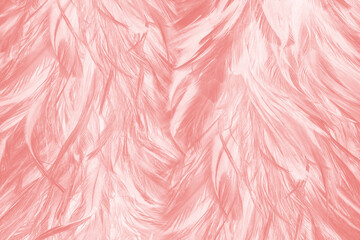 Beautiful soft pink feather pattern texture background