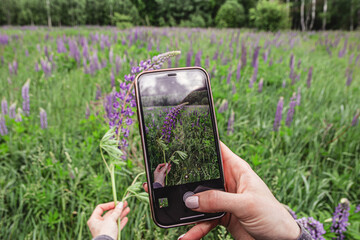 taking pictures of flowers on the phone
