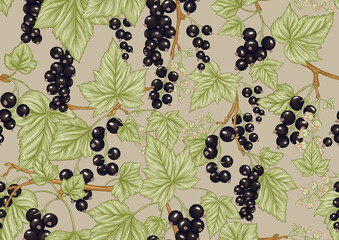Black currant black, ripe berries. Seamless pattern, background. Vector illustration. In botanical style on kraft beige background