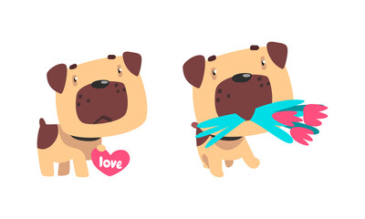 Funny Pug Dog with Flower Bouquet and Valentine Heart Vector Set