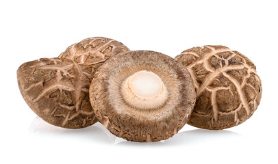 Shiitake Mushrooms isolated on white background