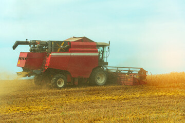 Harvester harvests cereals in the field. Cleaning of cereals.