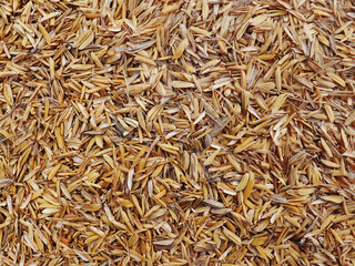 Rice chaff background