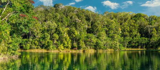 Lake Eacham Panorama with Rainforest Reflections
