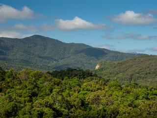 Fototapeta premium View Across Tropical Rainforest to Distant Hills with Clouds Overhead