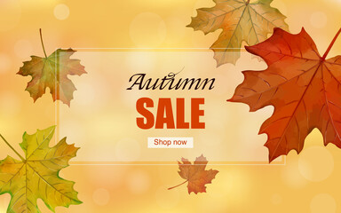 Autumn maple leaves web banner background template. Vector illustration.
