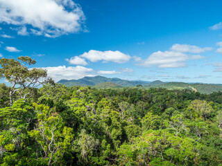 Fototapeta na wymiar View Across Tropical Rainforest to Distant Hills with Clouds Overhead