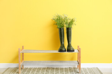 Stand with gumboots and chamomiles near color wall
