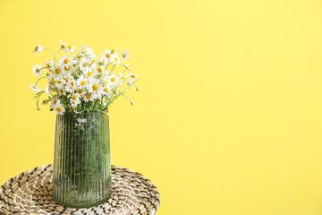 Vase with beautiful chamomiles on table near color wall