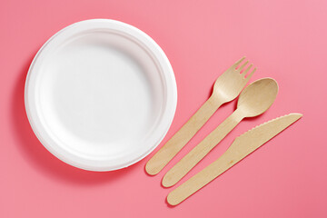 Paper plate and cutlery