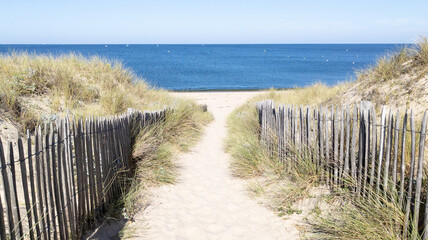 Fototapeta na wymiar sandy dunes access coast to sea beach in lege Cap-Ferret coast Atlantic ocean in west france