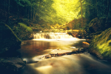 Verträumtes Ilsetal mit Wasserfälle und saftig grünen Wald