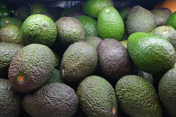 Heap of fresh green avocado on a market stall.