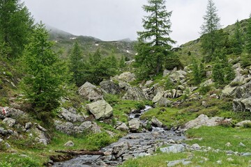 mountain river in the mountains