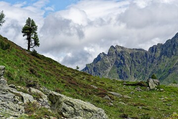 scenic view in the austrian alps