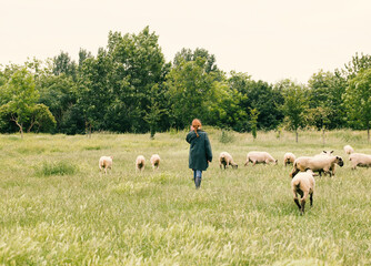 A Farmer with Sheep, Rear view of a young woman in a field