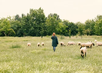 Fototapeten A Farmer with Sheep, Rear view of a young woman in a field © MH STOCK
