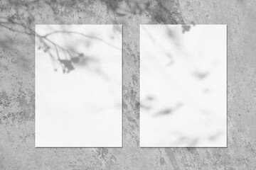 Two empty white vertical rectangle poster or card mockups with soft tree leaves and branches shadows on neutral light grey concrete wall background. Flat lay, top view