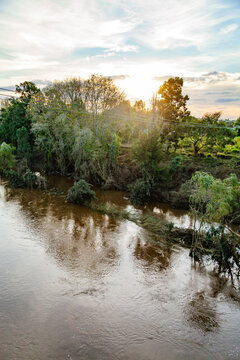 muddy flattened trees along riverbank after flash flooding