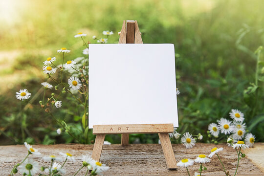 Easel on Lawn. Artistic Equipment on Nature. Empty artist canvas on wood easel. Summer Natur Background. Art picnic to enjoy in meadow
