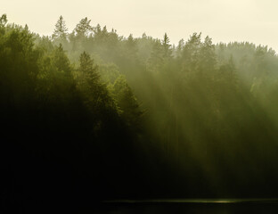 smoke from forest fires in the rays of the setting sun.