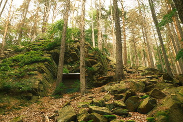 Felsen und Bergwald mit Kiefern