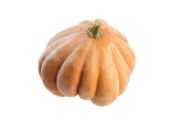 Pumpkin isolated on white background. Single whole ribbed pumkin
