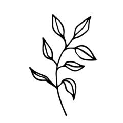 Doodle on a white background is isolated. The grass can be used for logos, decor on the svalba, prints on clothes